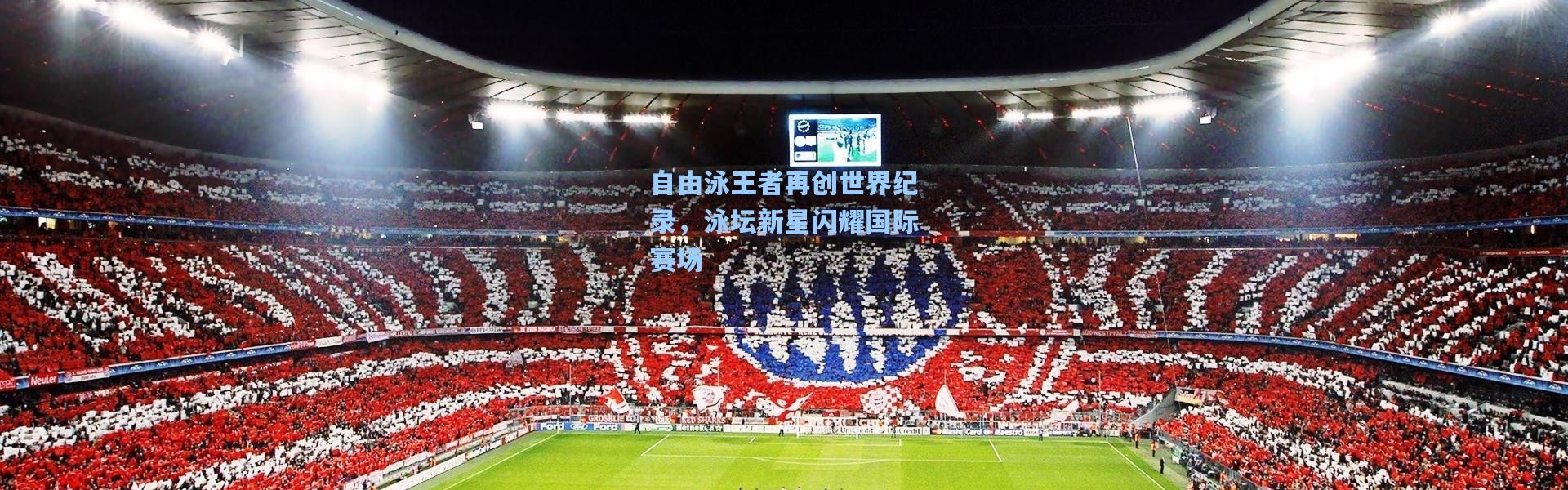 自由泳王者再创世界纪录，泳坛新星闪耀国际赛场