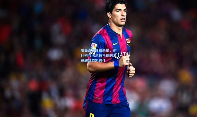 哈曼点评锋线新星，谢什科与沃尔特马德的光芒超越哲凯赖什