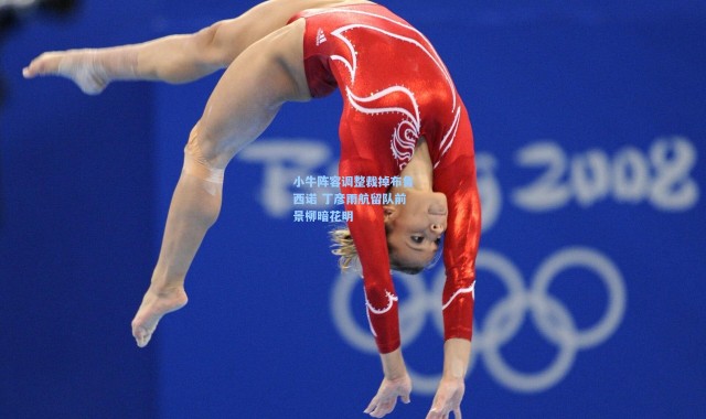 小牛阵容调整裁掉布鲁西诺 丁彦雨航留队前景柳暗花明