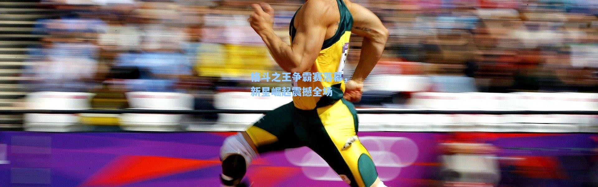 格斗之王争霸赛落幕，新星崛起震撼全场