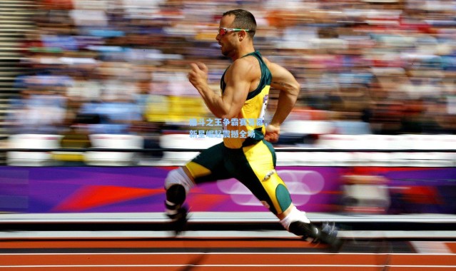 格斗之王争霸赛落幕，新星崛起震撼全场