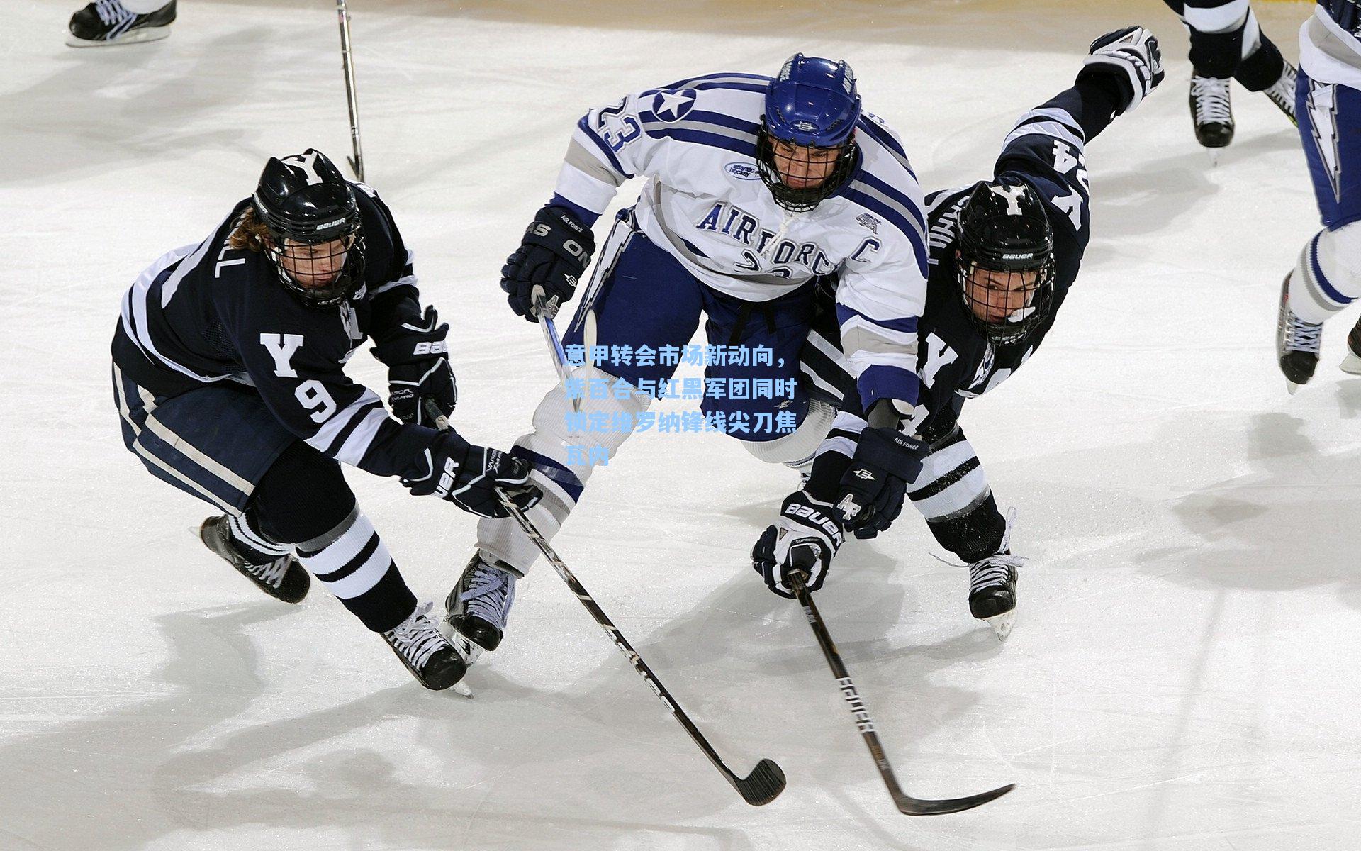 意甲转会市场新动向，紫百合与红黑军团同时锁定维罗纳锋线尖刀焦瓦内