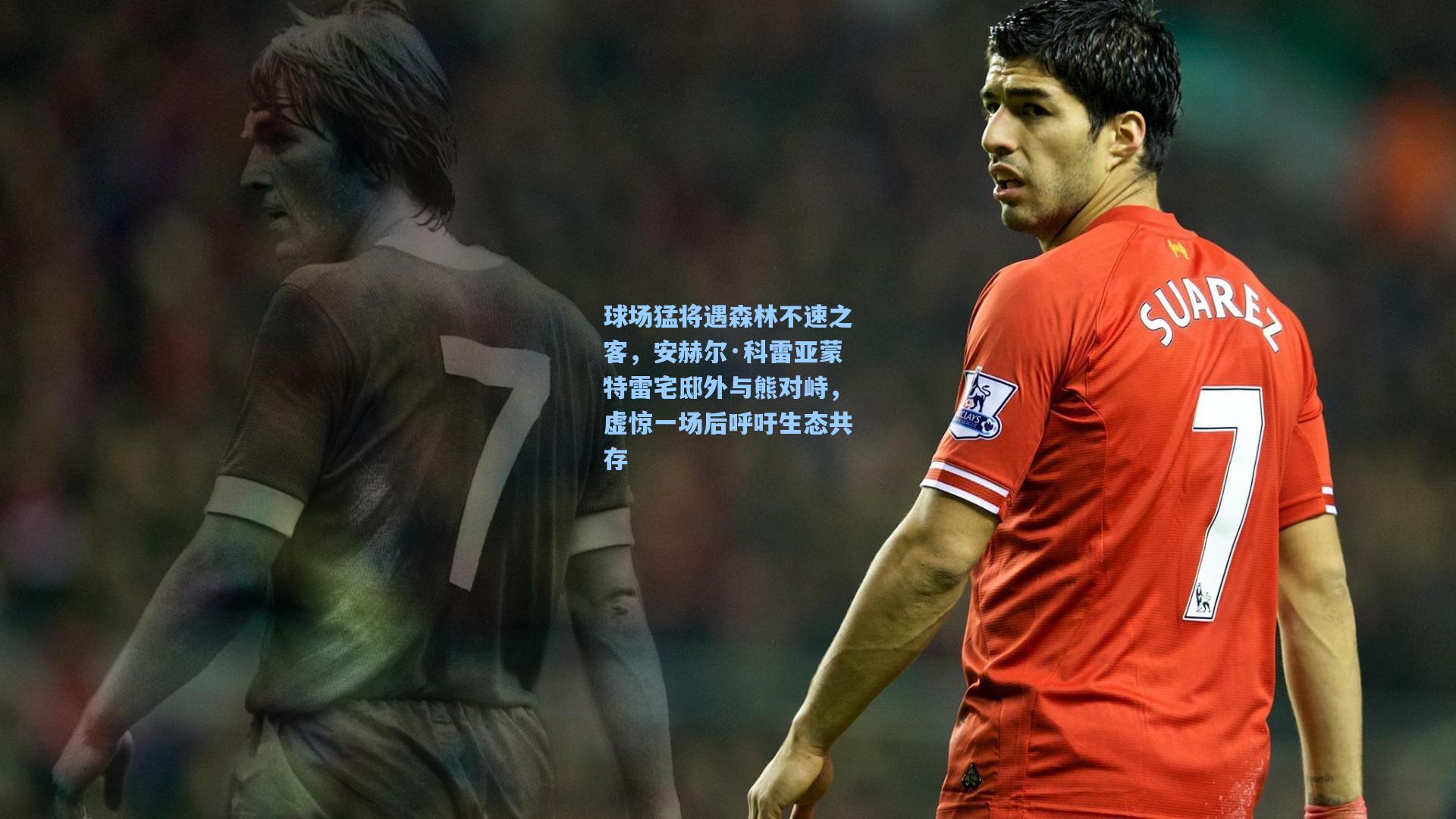 球场猛将遇森林不速之客，安赫尔·科雷亚蒙特雷宅邸外与熊对峙，虚惊一场后呼吁生态共存